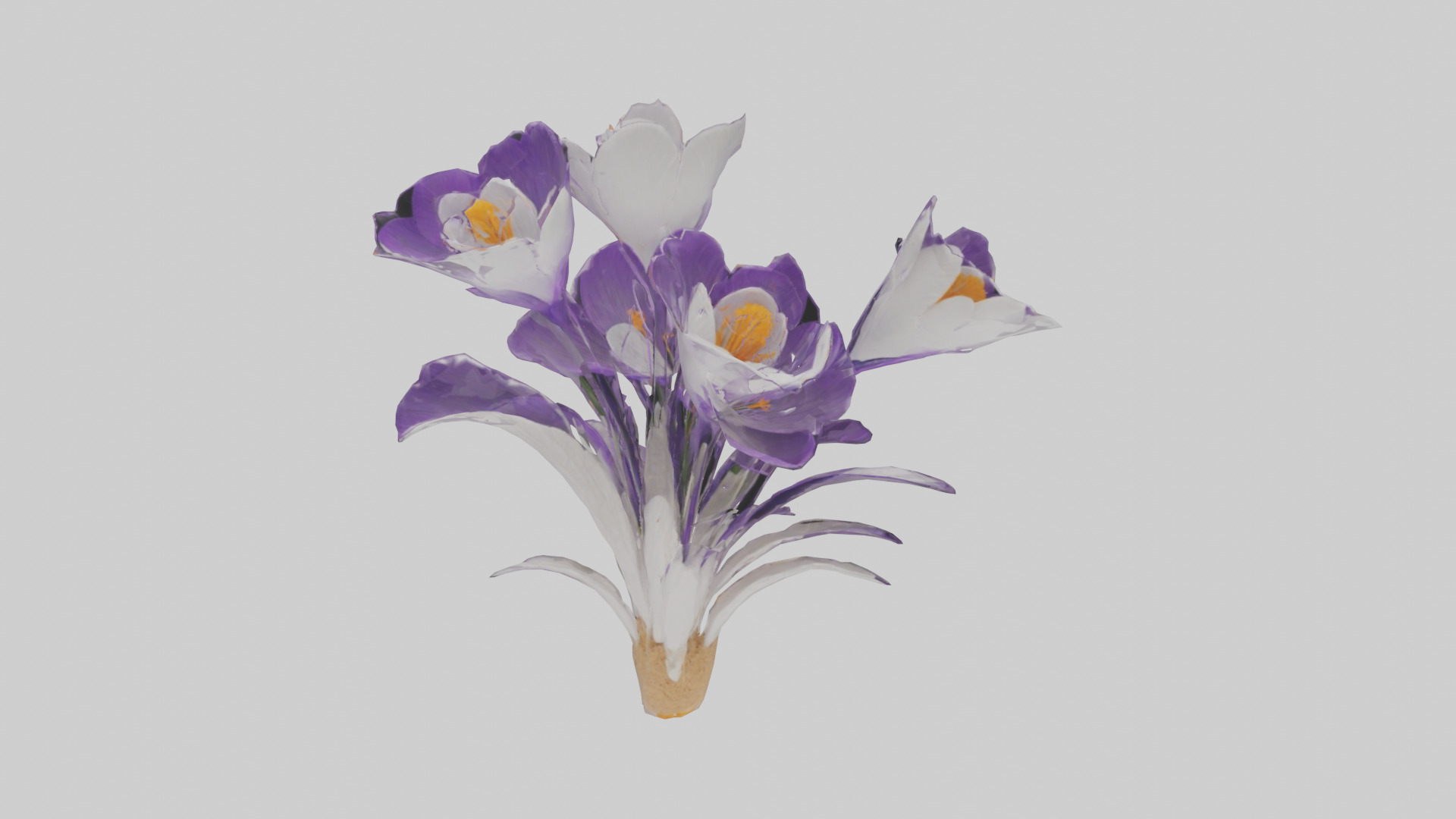 Crocus flower model 2 Low-poly 3D model_15