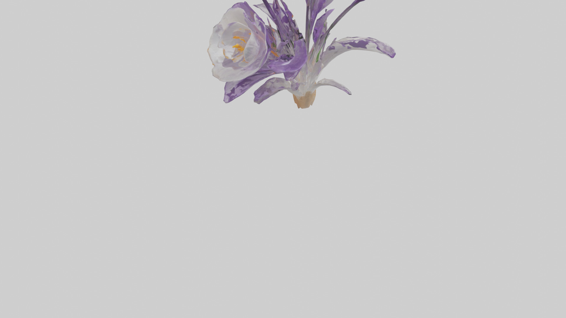 Crocus flower model 2 Low-poly 3D model_10