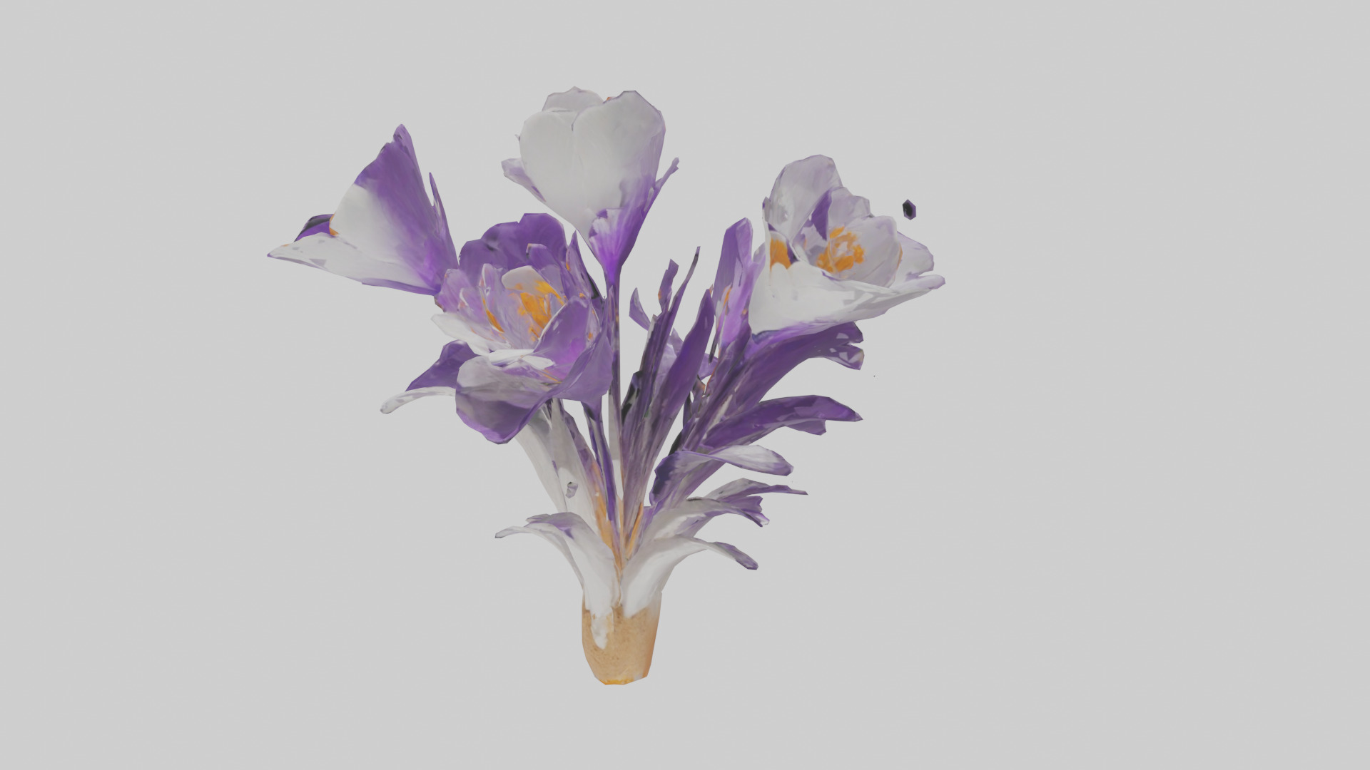 Crocus flower model 2 Low-poly 3D model_14