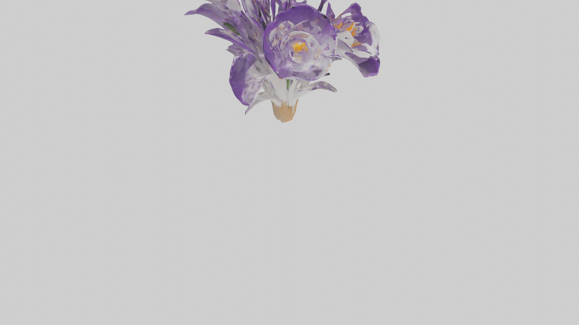 Crocus flower model 2 Low-poly 3D model_12