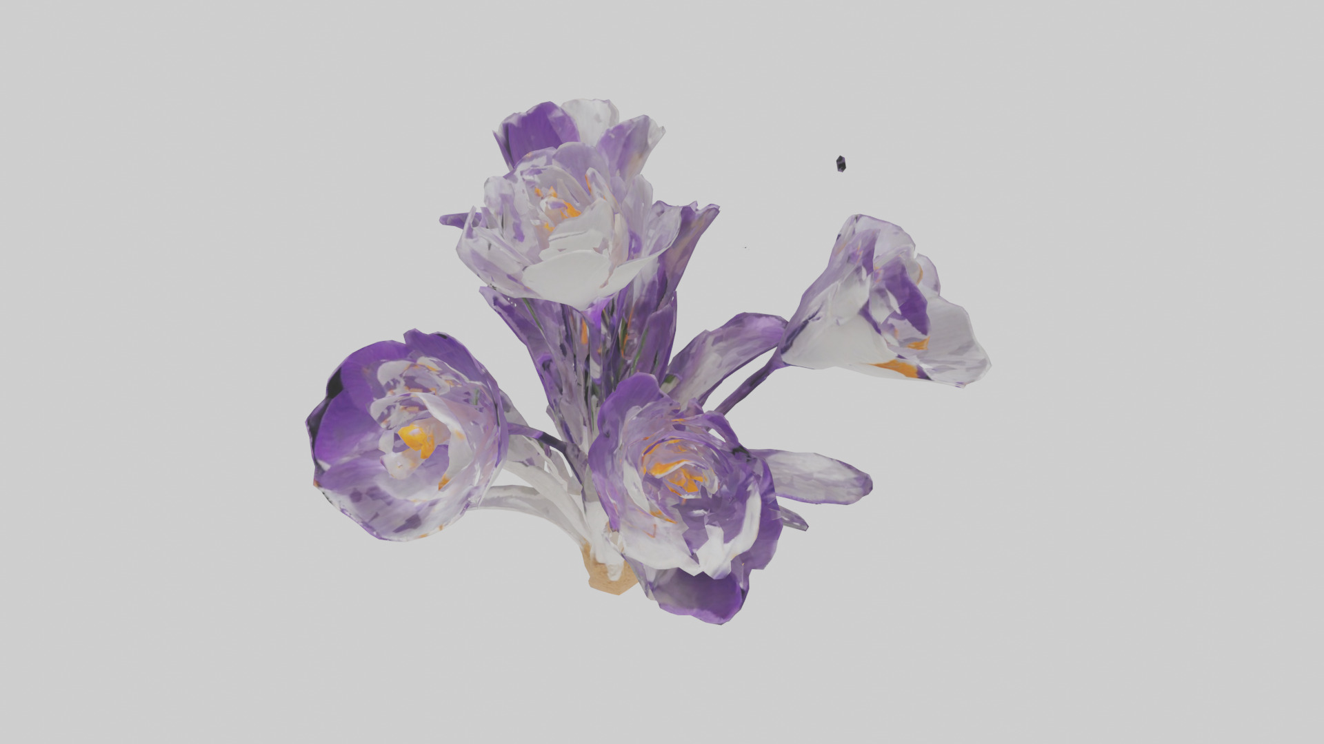 Crocus flower model 2 Low-poly 3D model_22