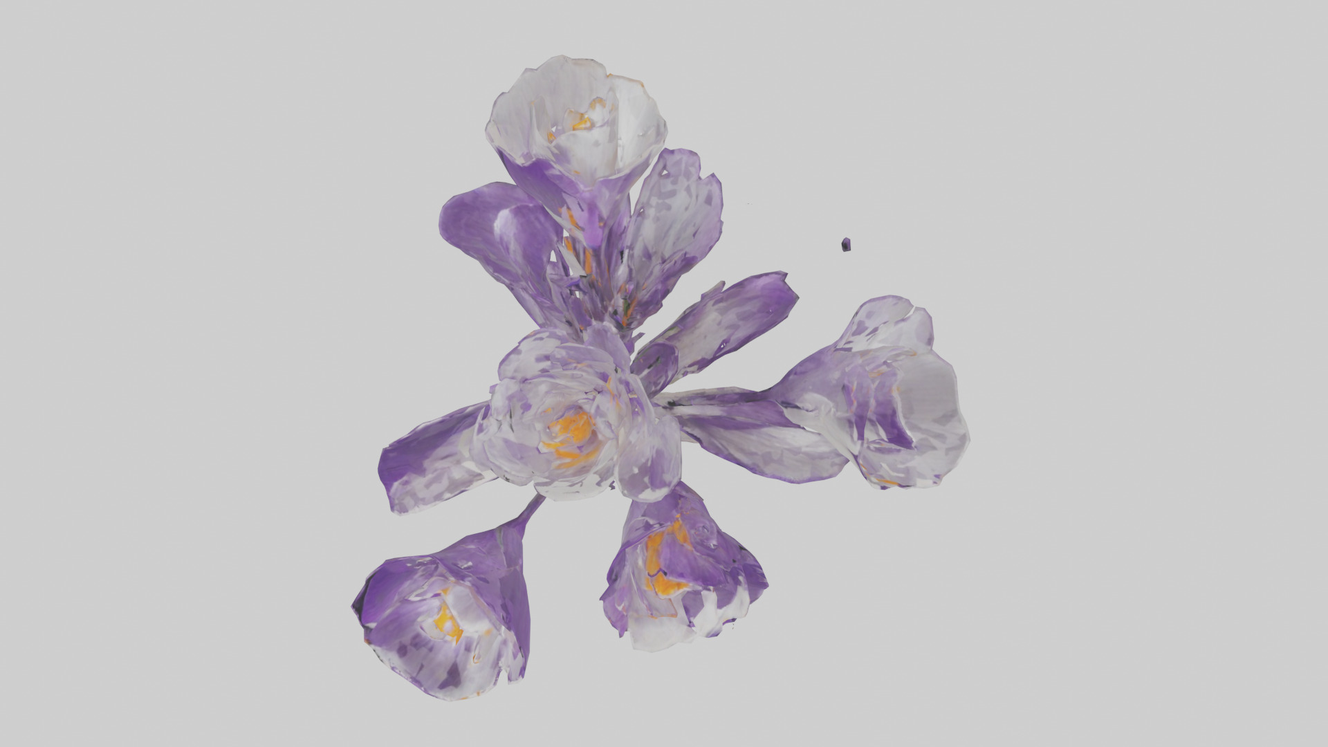 Crocus flower model 2 Low-poly 3D model_1