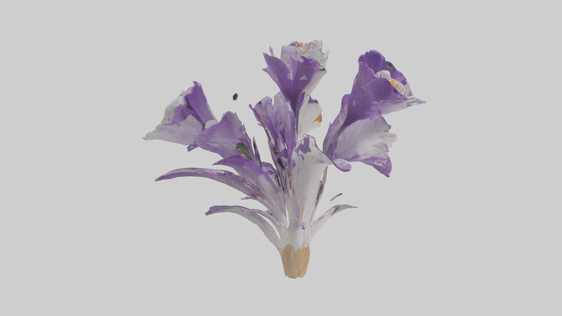 Crocus flower model 2 Low-poly 3D model_19