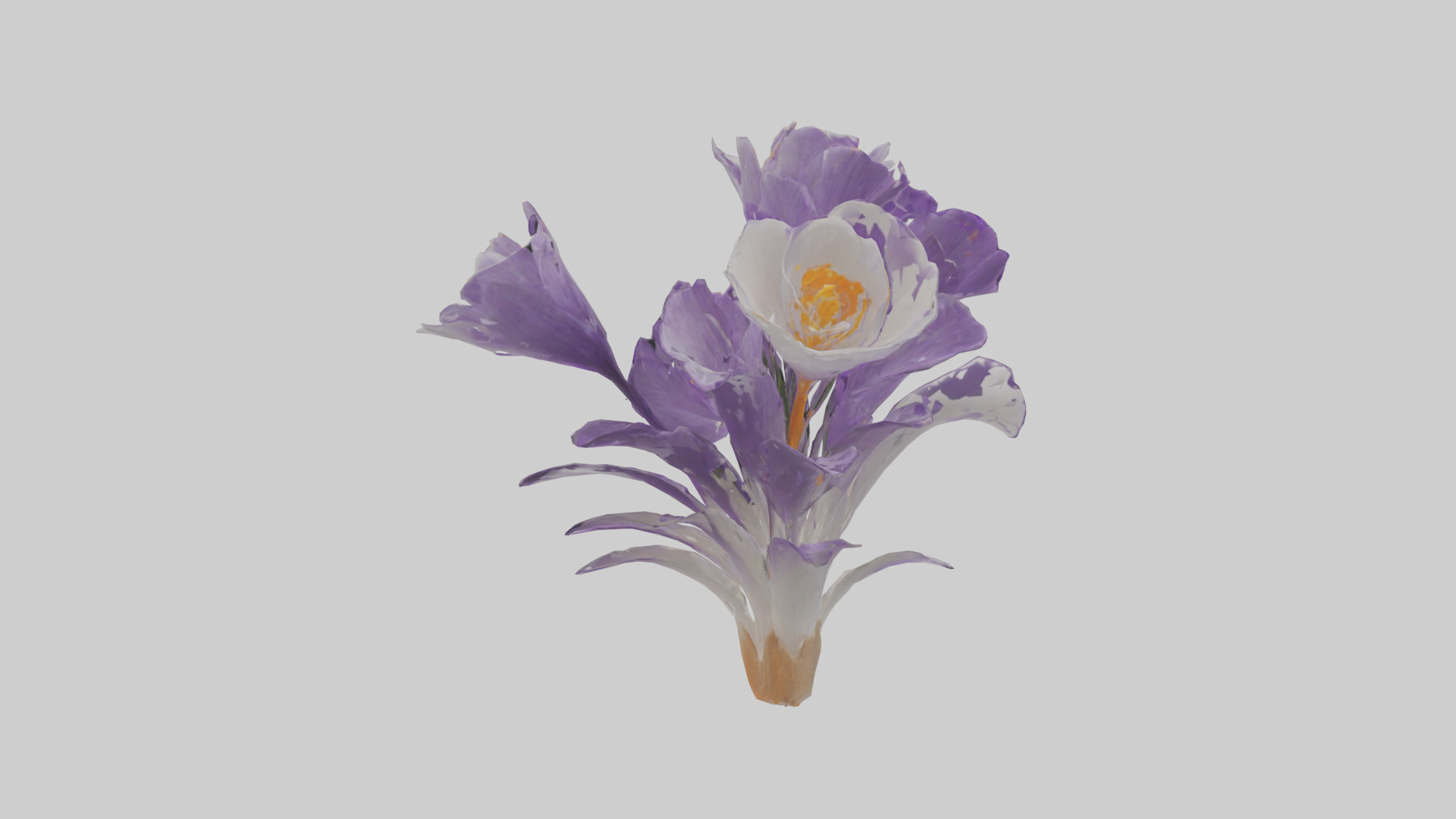 Crocus flower model 2 Low-poly 3D model_6