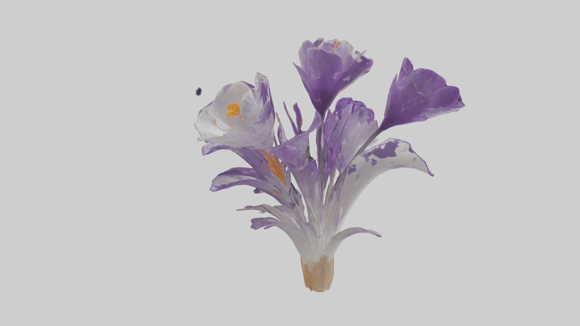 Crocus flower model 2 Low-poly 3D model_8