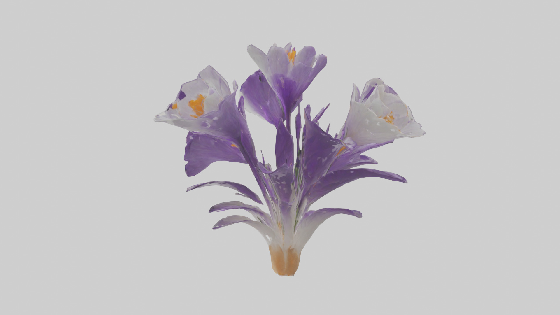 Crocus flower model 2 Low-poly 3D model_7
