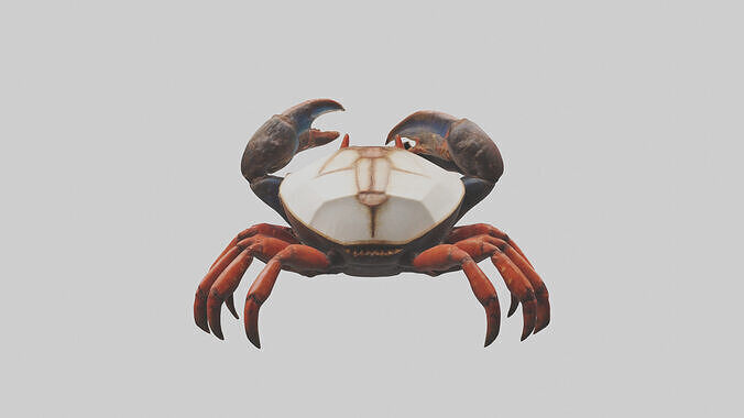 Coconut Crab crawling model 3D model