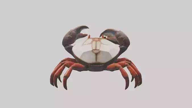 Coconut Crab crawling model