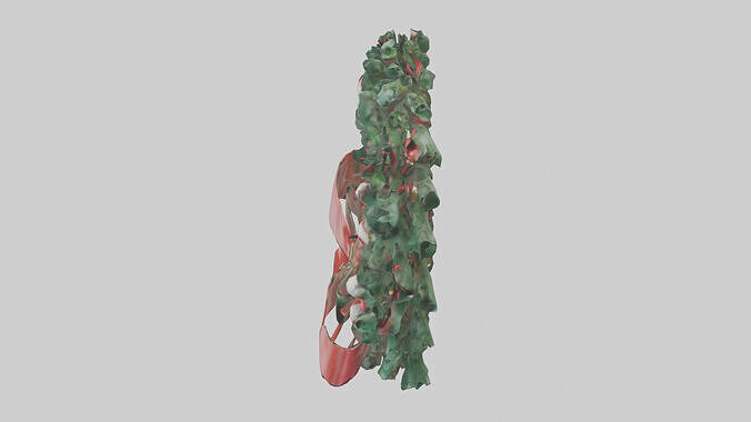 Christmas Wreath model Low-poly 3D model 5