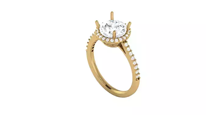 Women Ring  Render 3dm STL OBJ FBX Details