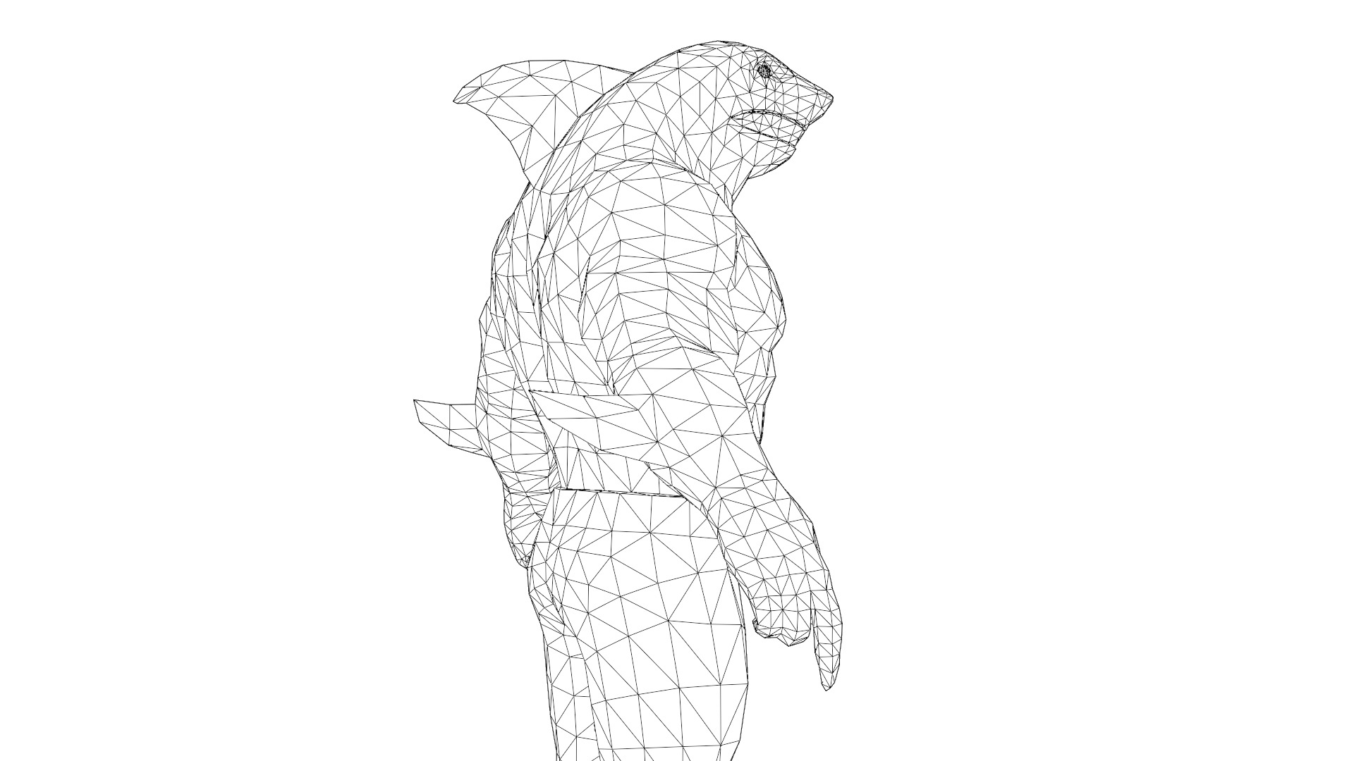 King Shark 3D Model High Quality Rigged Low-poly 3D model_13