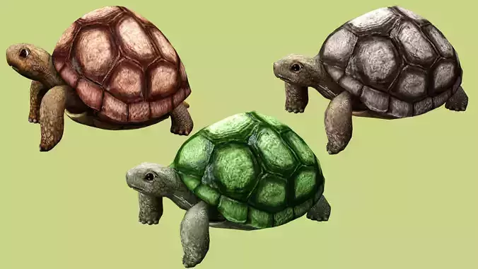 TORTOISE RIGGED ANIMATED 2 Low-poly 3D model