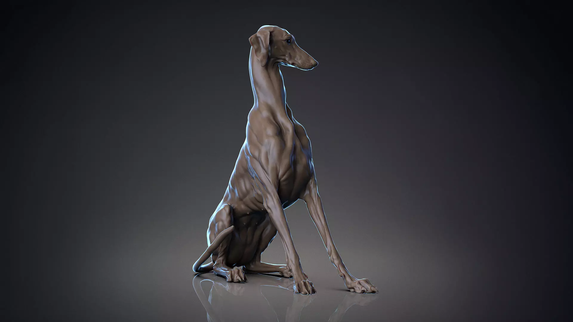 Dog Azawakh - 3D Sculpting 3D print model_0