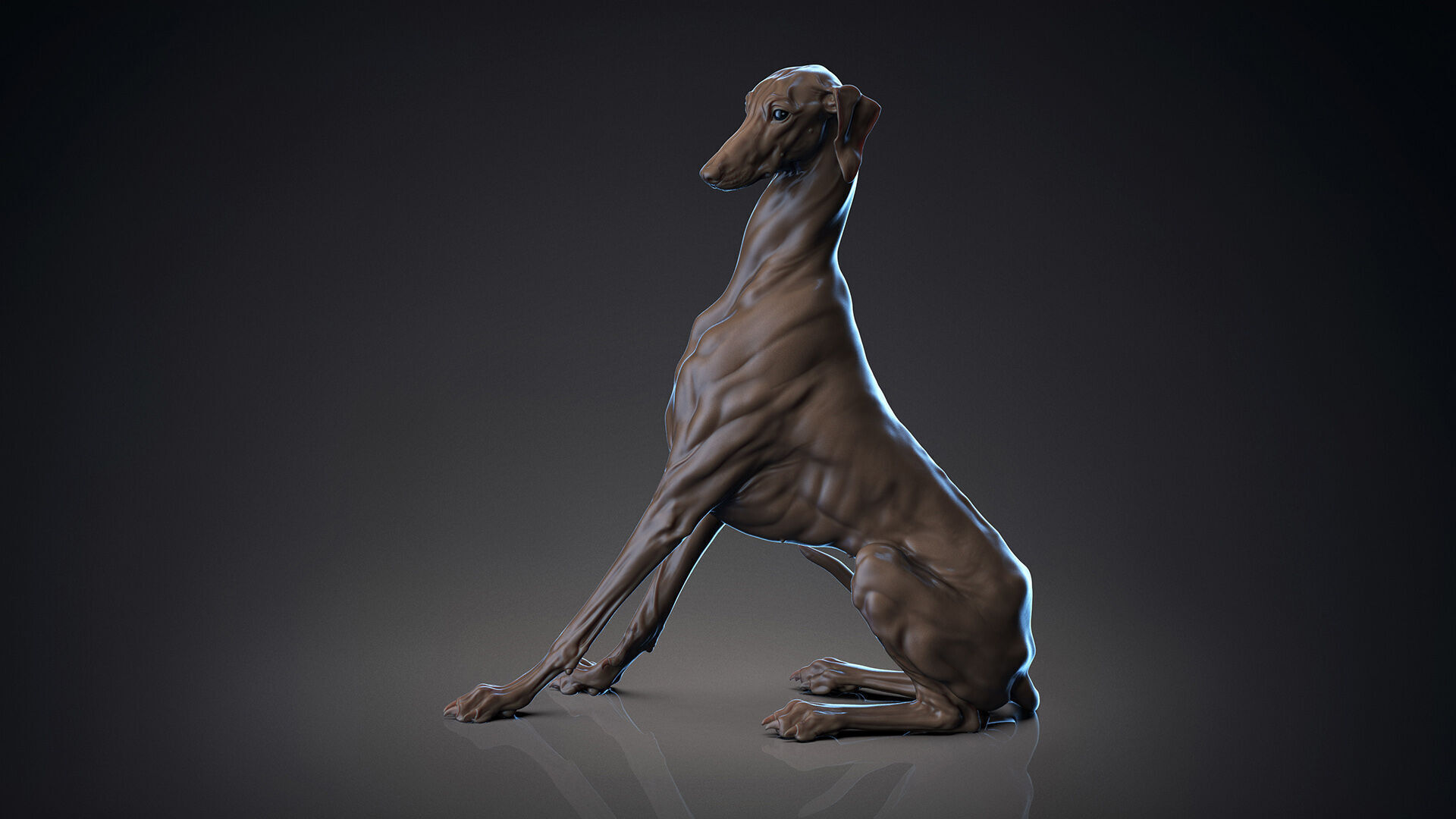 Dog Azawakh - 3D Sculpting 3D print model_5