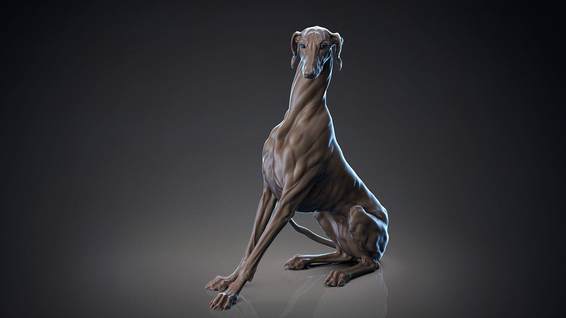Dog Azawakh - 3D Sculpting 3D print model_3