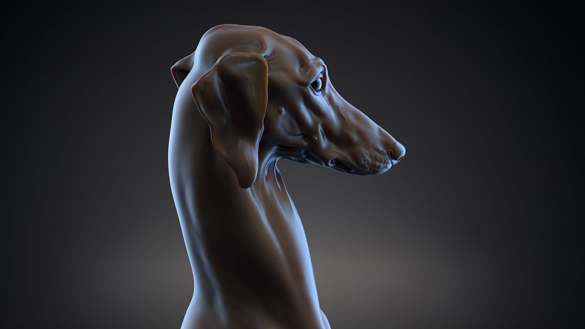 Dog Azawakh - 3D Sculpting 3D print model_4