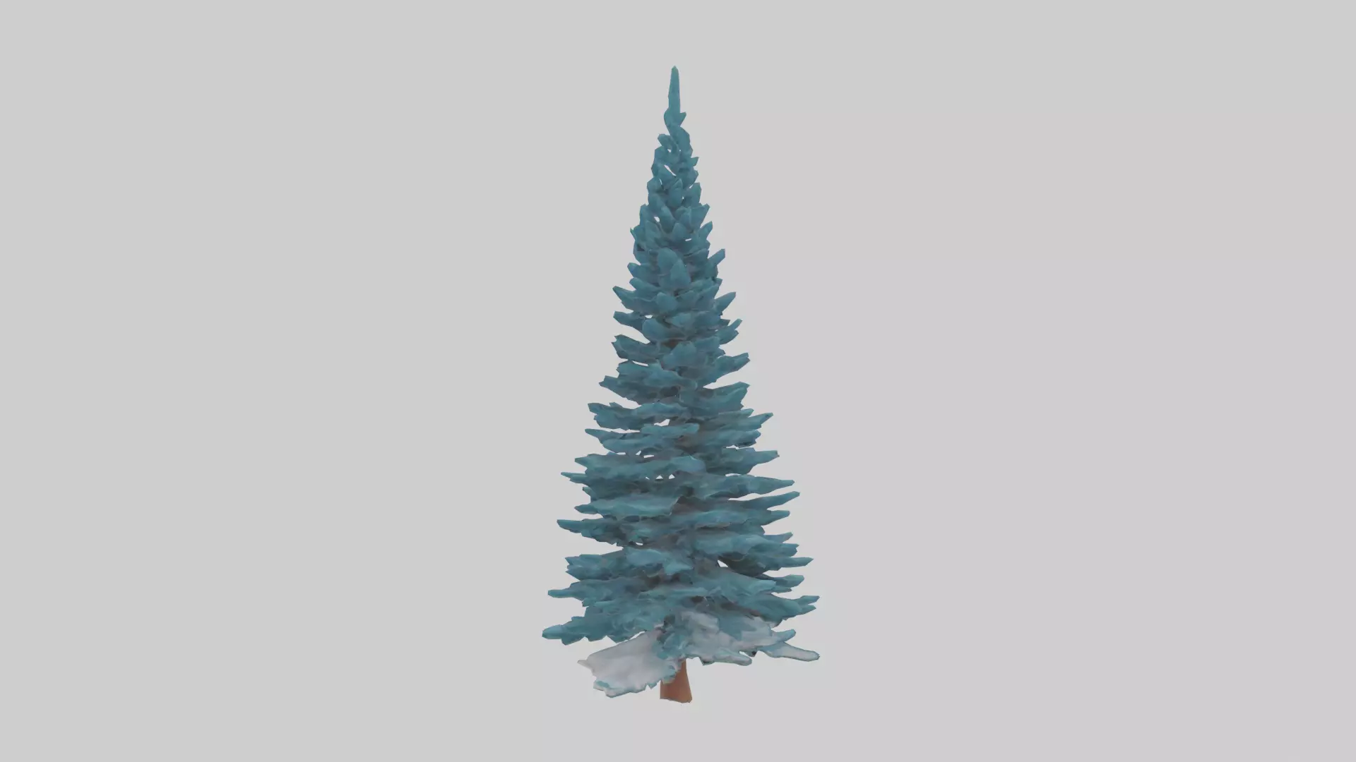 Colorado Blue Spruce tree model 3D model_0