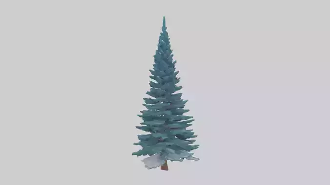 Colorado Blue Spruce tree model 3D model