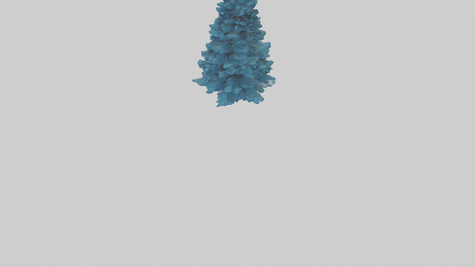 Colorado Blue Spruce tree model 3D model_5