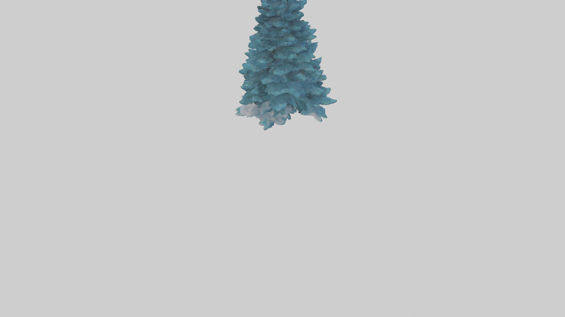 Colorado Blue Spruce tree model 3D model_4