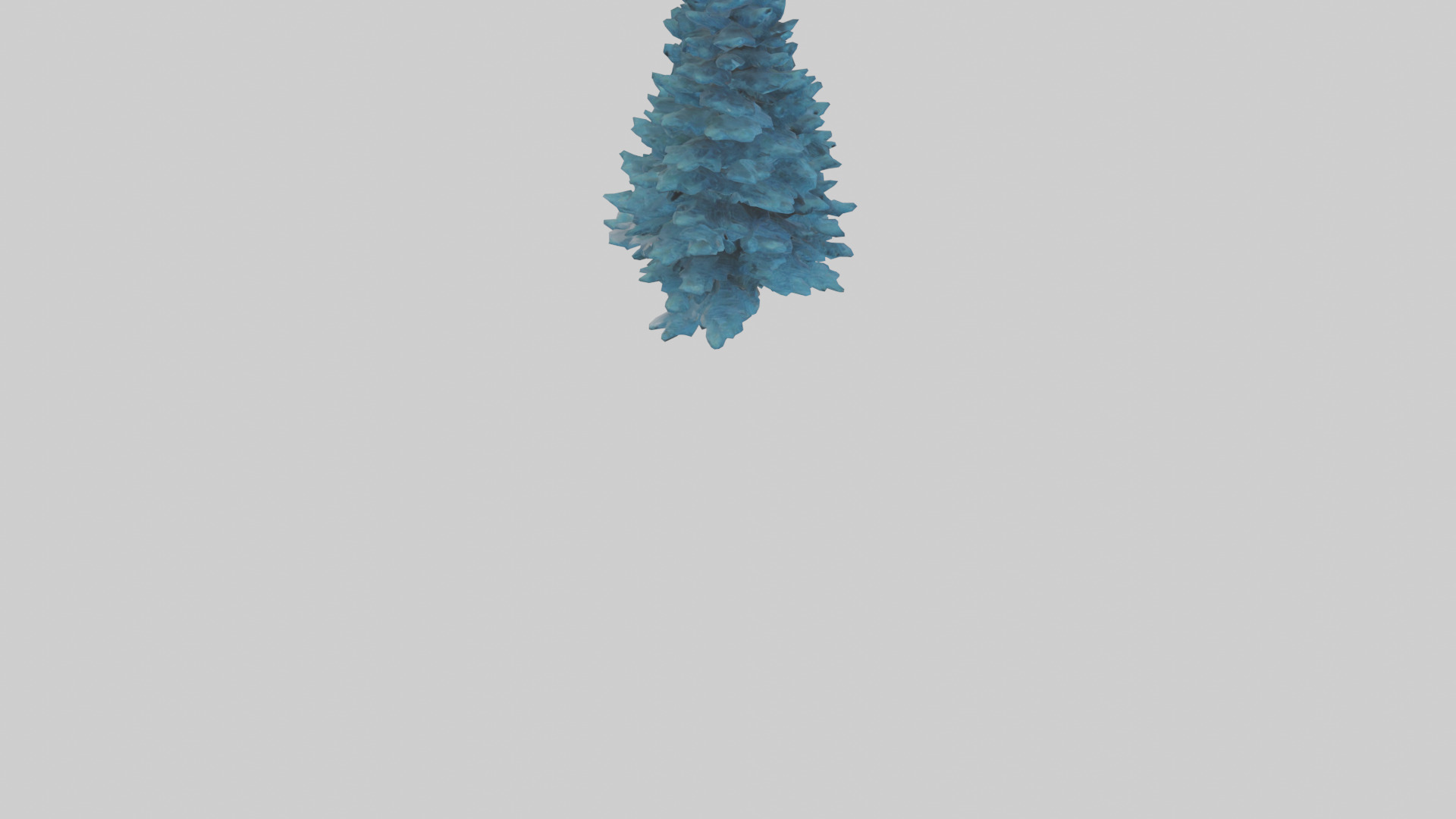 Colorado Blue Spruce tree model 3D model_6