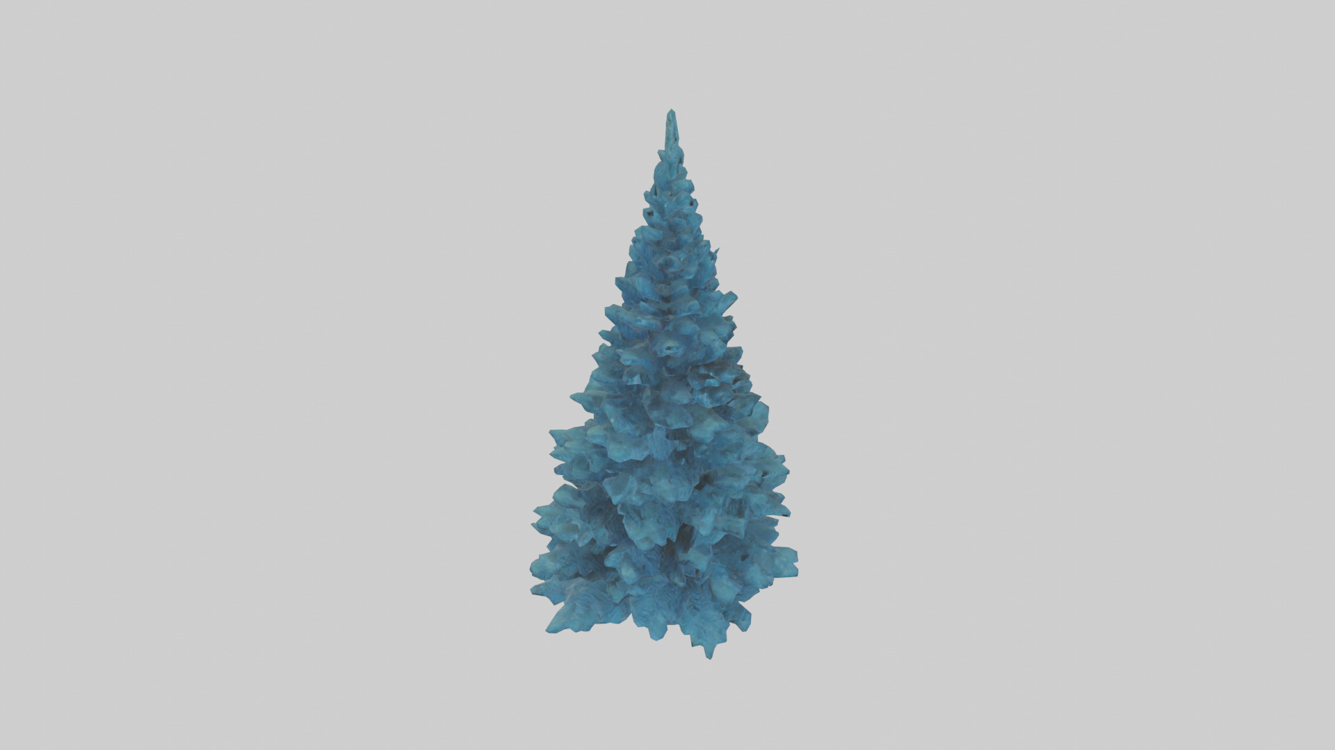 Colorado Blue Spruce tree model 3D model_16