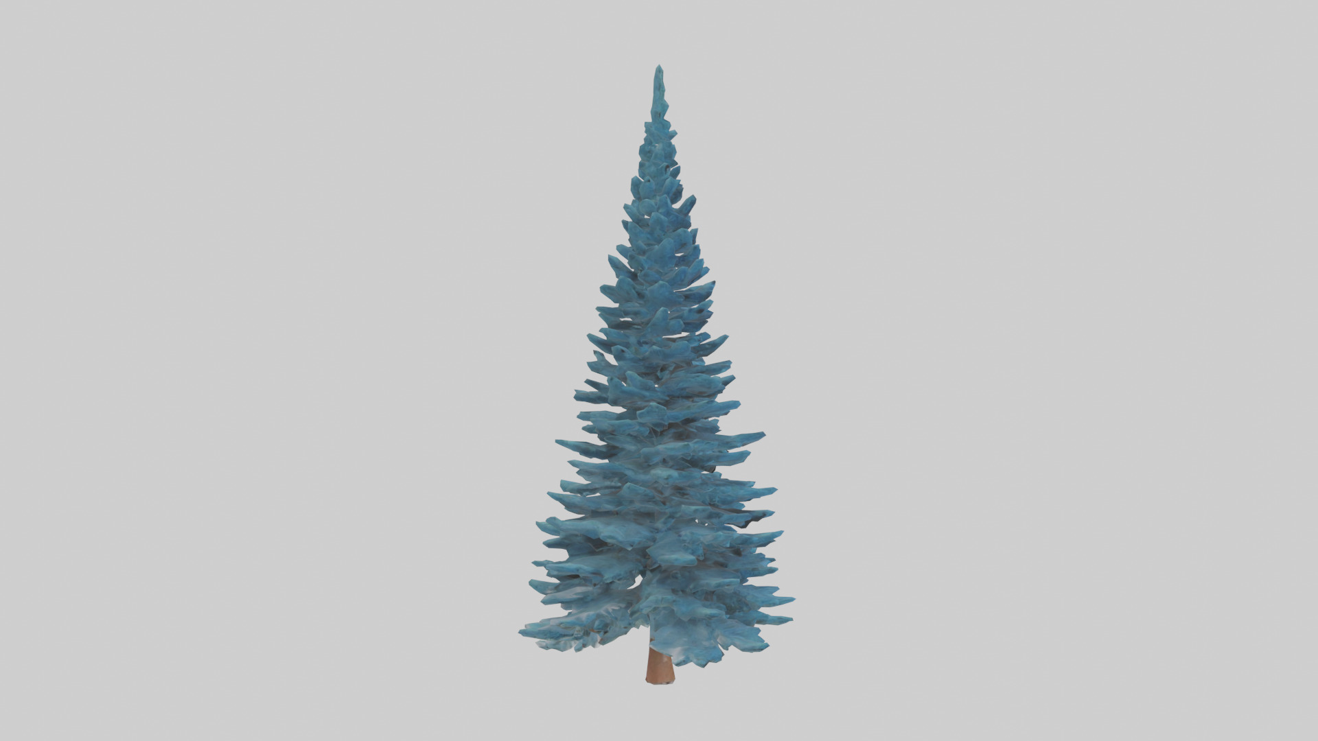 Colorado Blue Spruce tree model 3D model_13