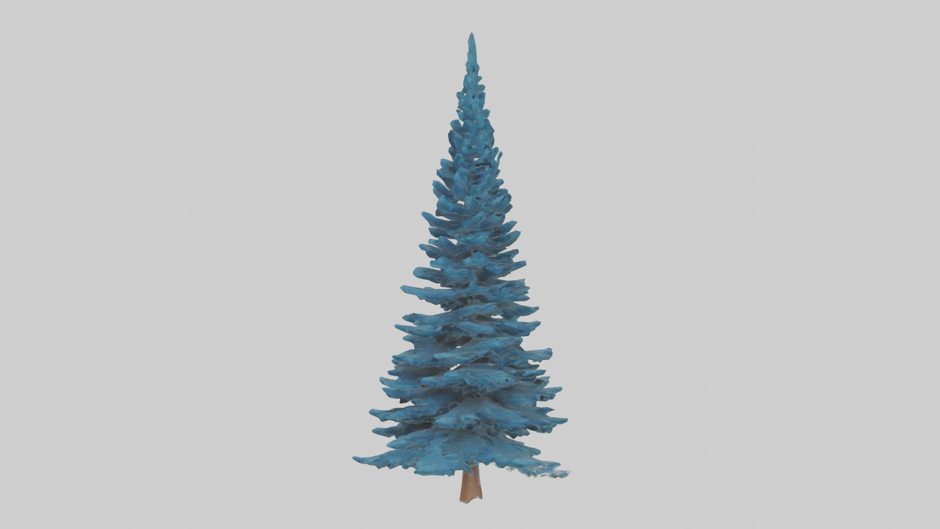 Colorado Blue Spruce tree model 3D model_10