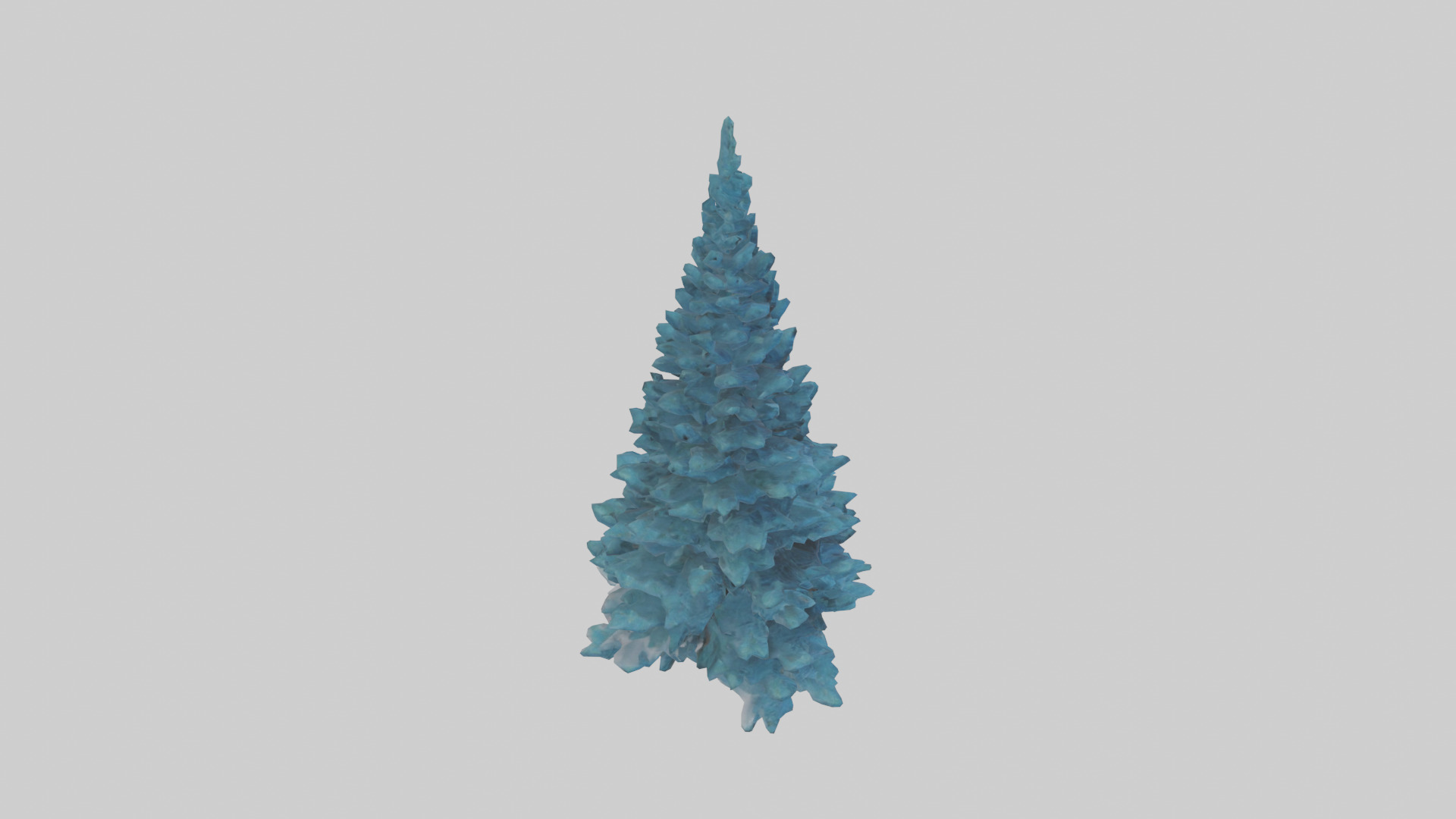 Colorado Blue Spruce tree model 3D model_18