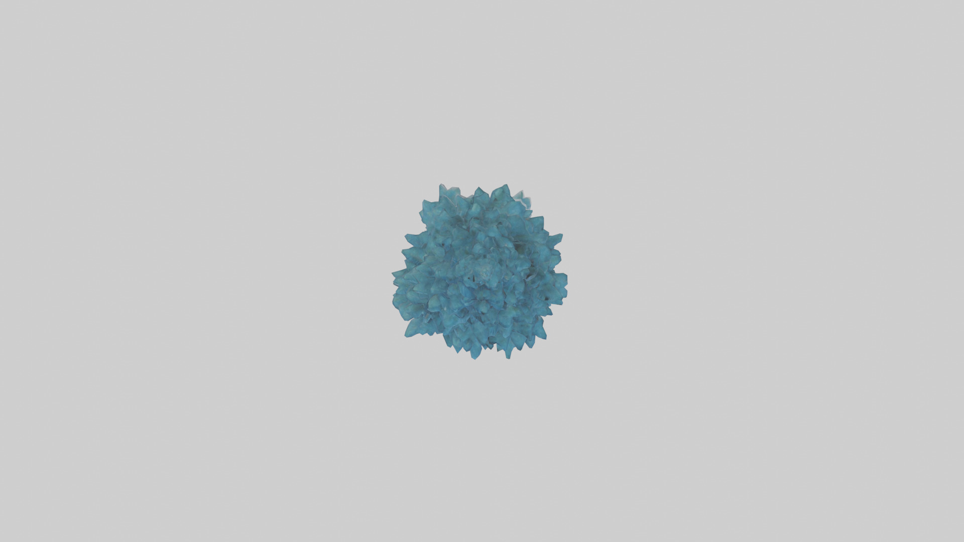 Colorado Blue Spruce tree model 3D model_14