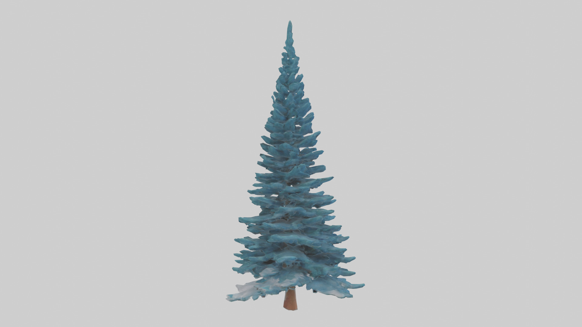 Colorado Blue Spruce tree model 3D model_2