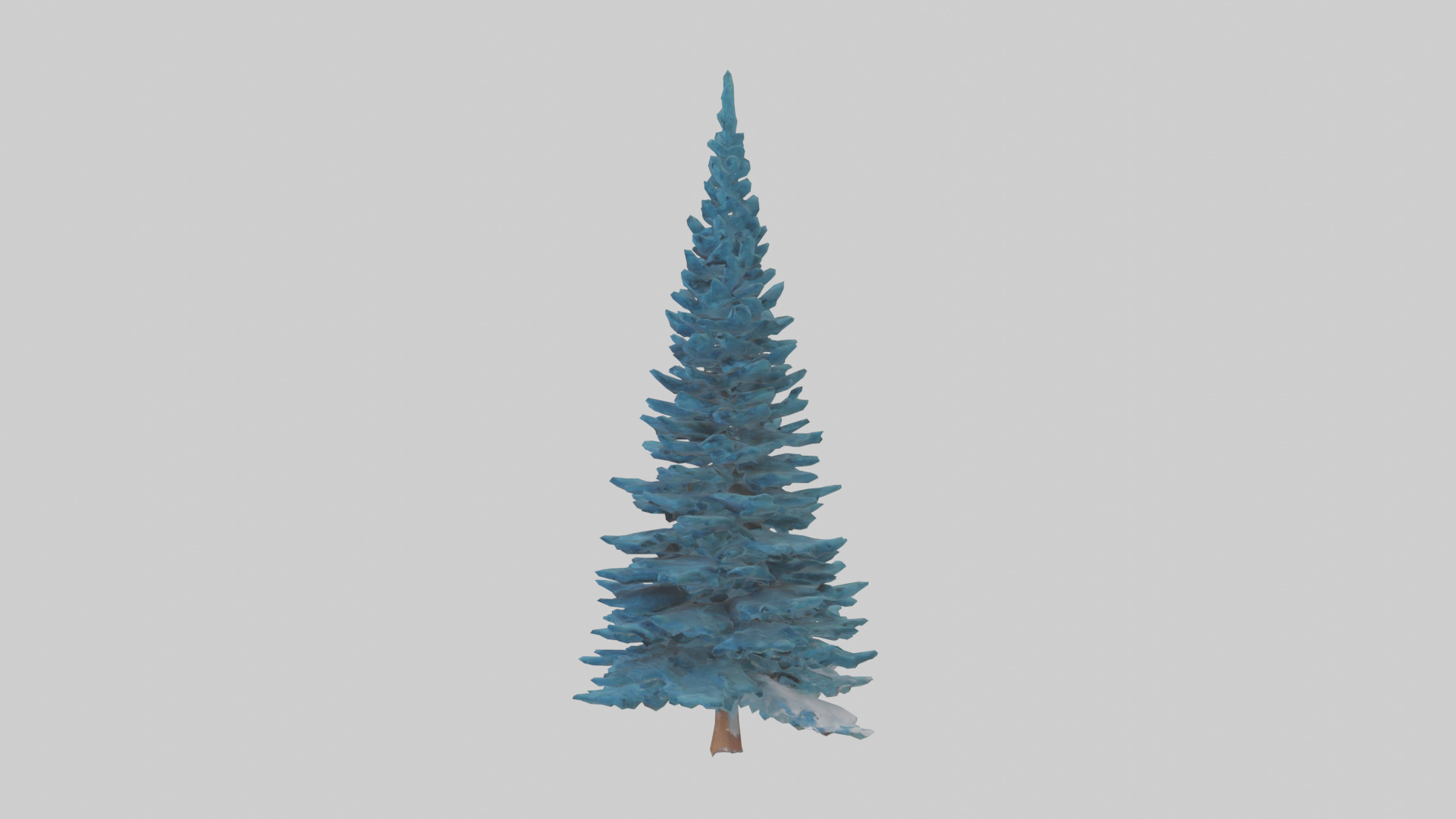 Colorado Blue Spruce tree model 3D model_12
