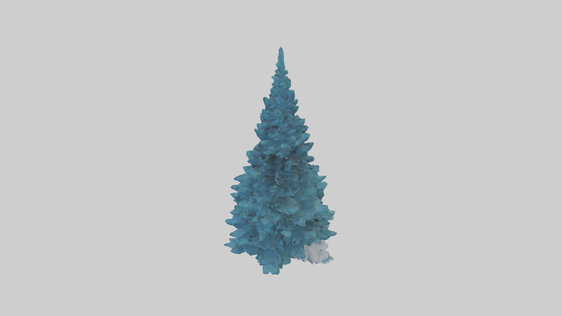 Colorado Blue Spruce tree model 3D model_17