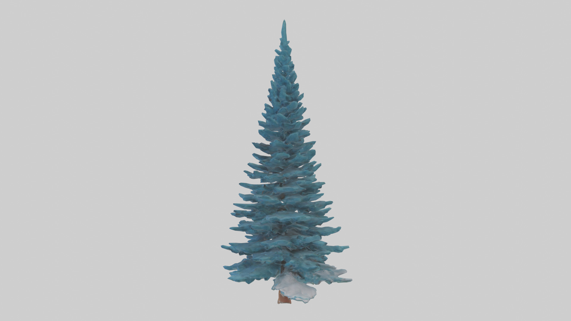 Colorado Blue Spruce tree model 3D model_1