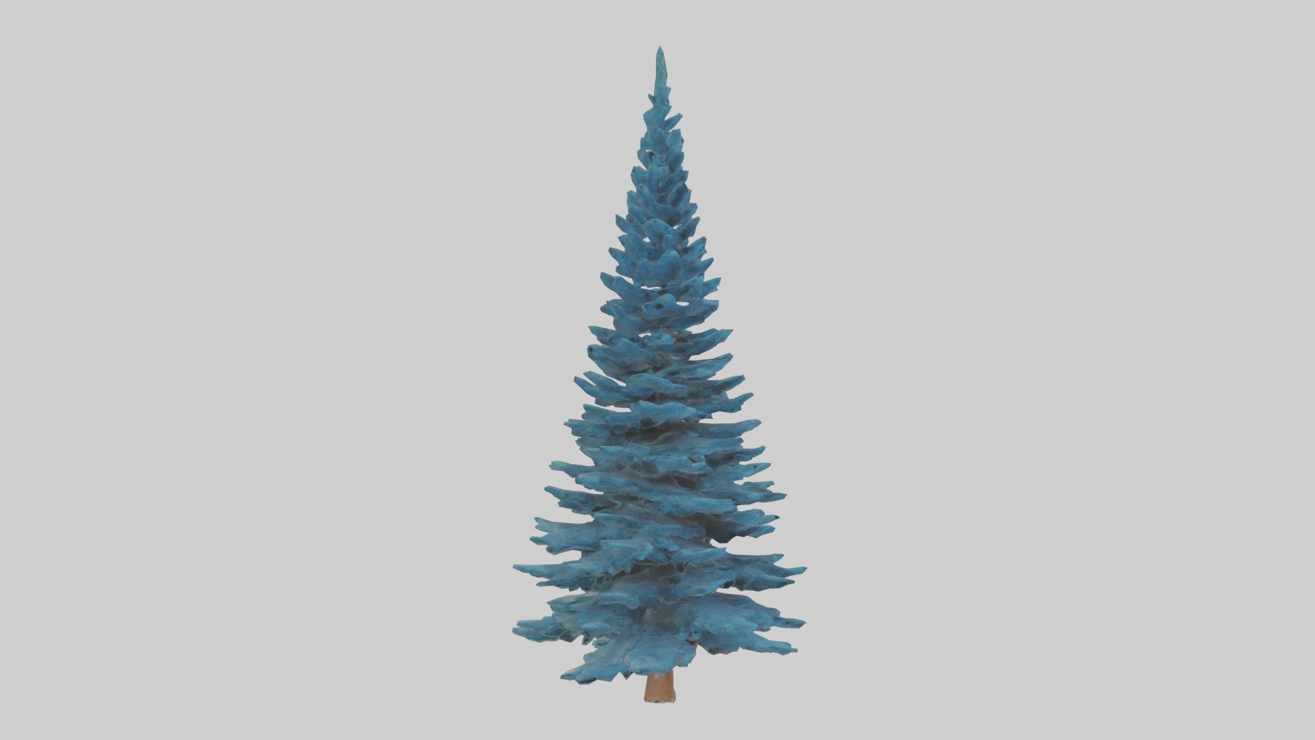 Colorado Blue Spruce tree model 3D model_7