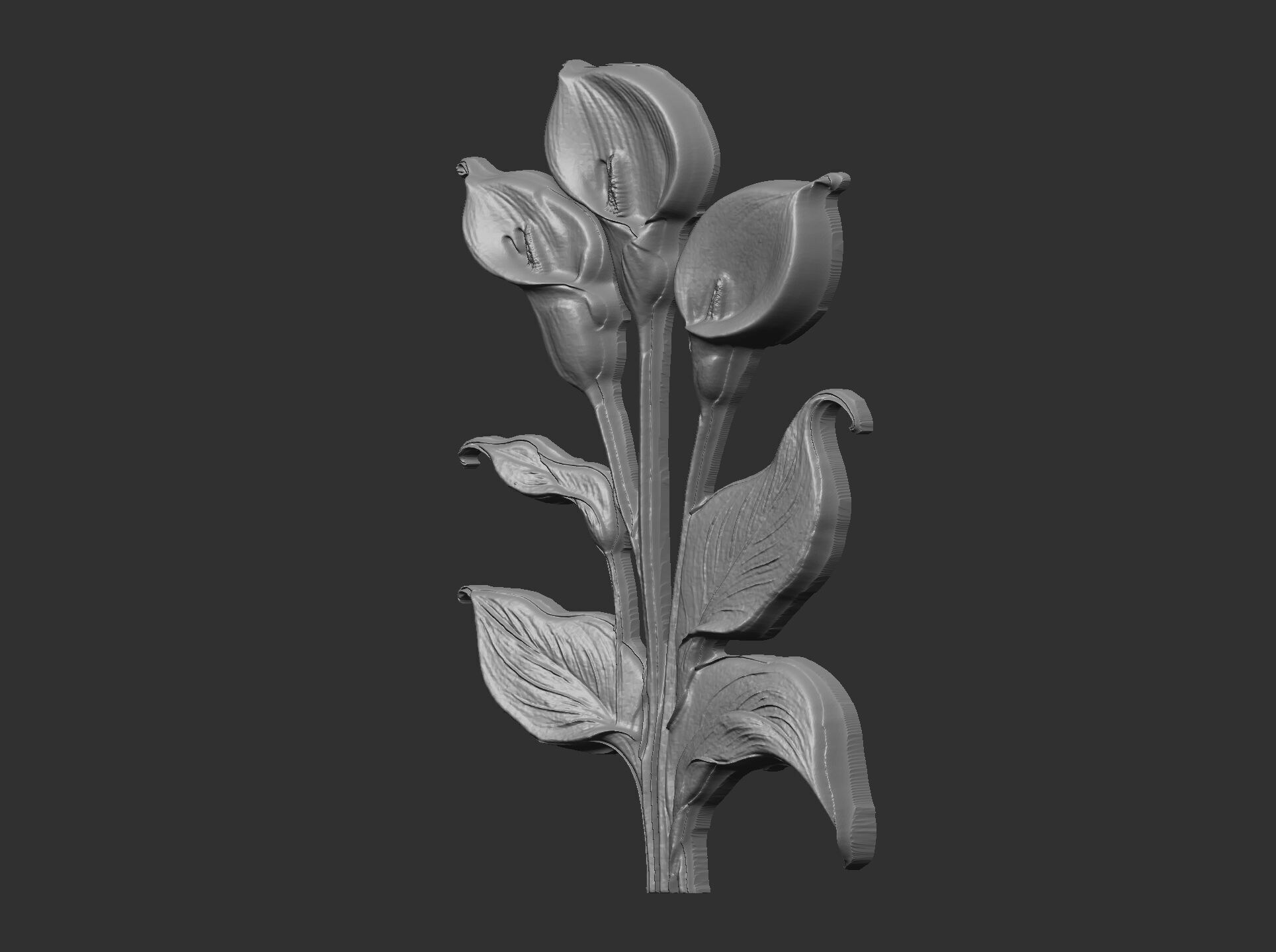 white calla lily with green leaves cnc  3D print model_11