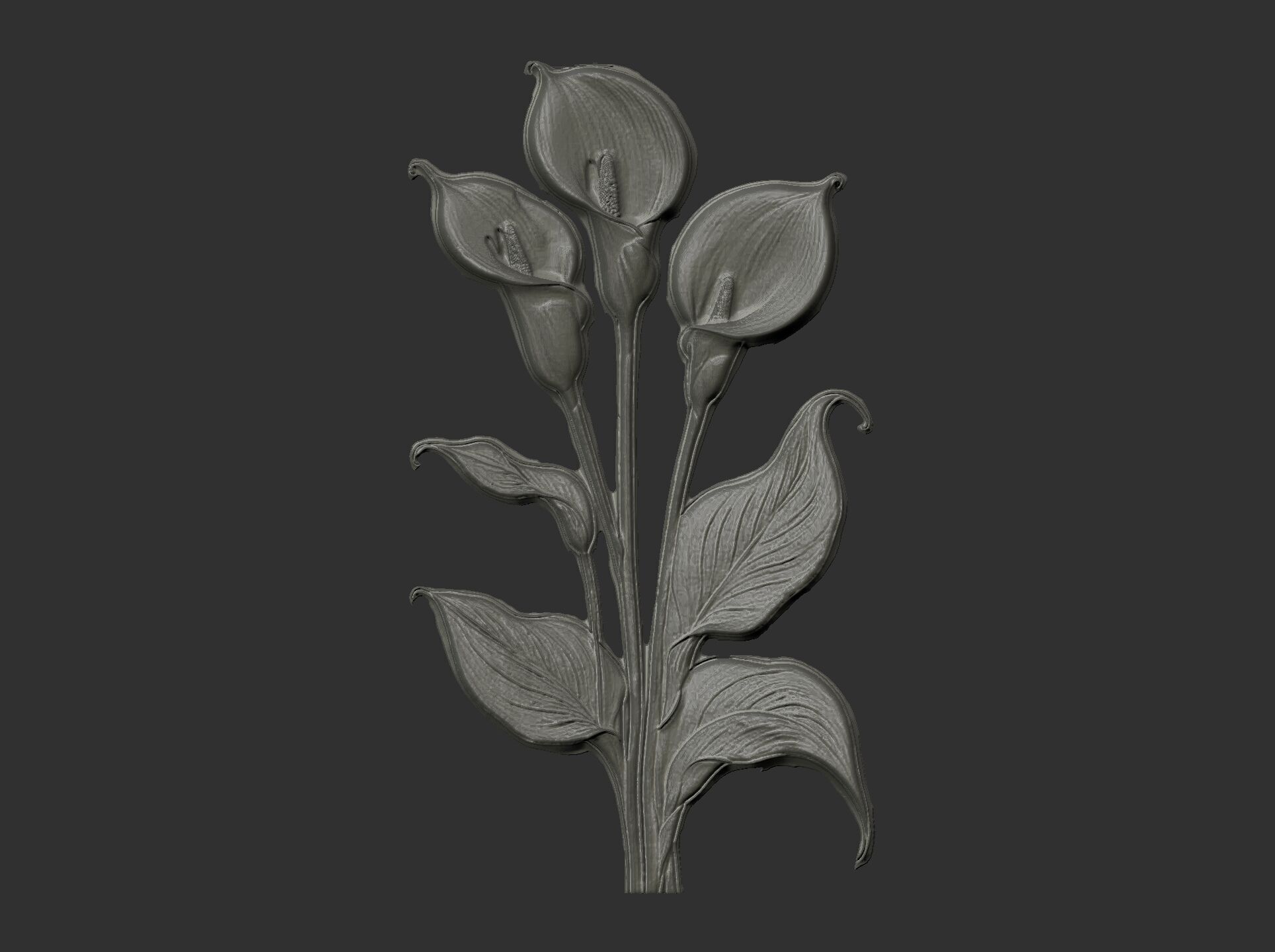 white calla lily with green leaves cnc  3D print model_19