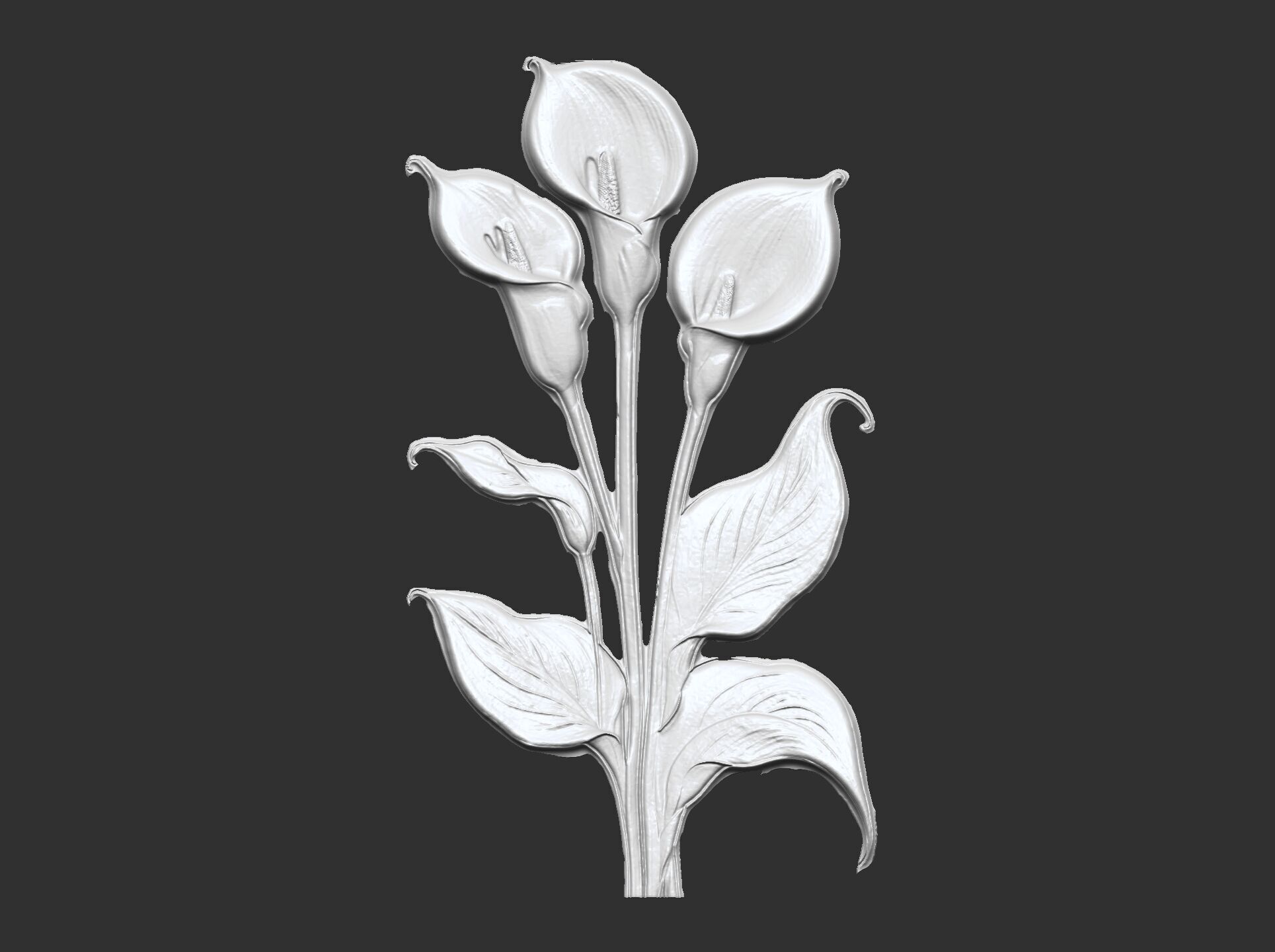 white calla lily with green leaves cnc  3D print model_27