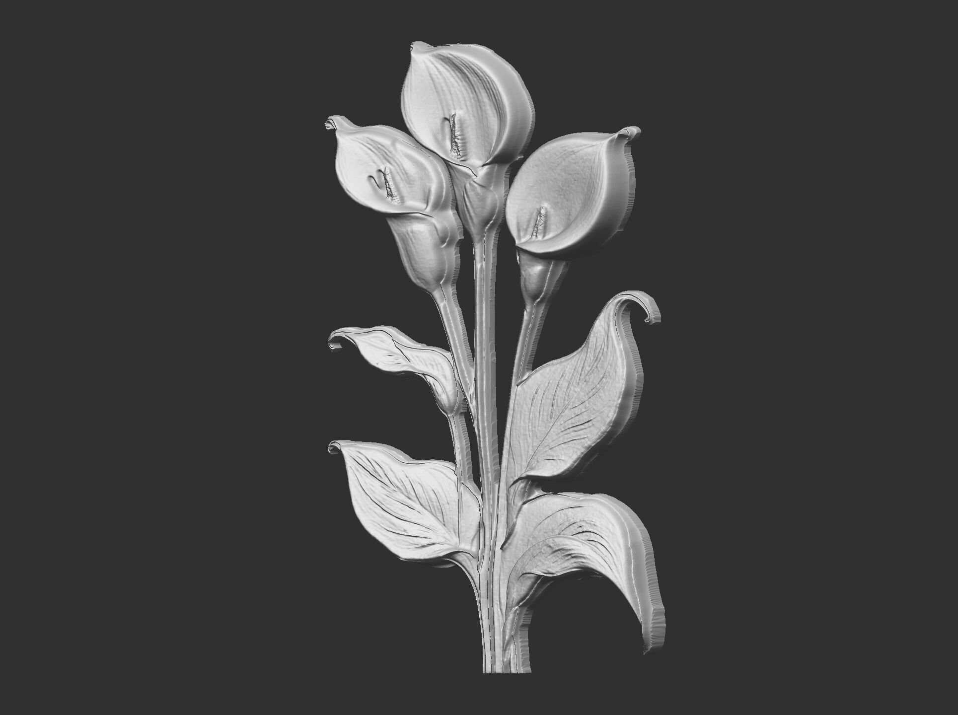 white calla lily with green leaves cnc  3D print model_14