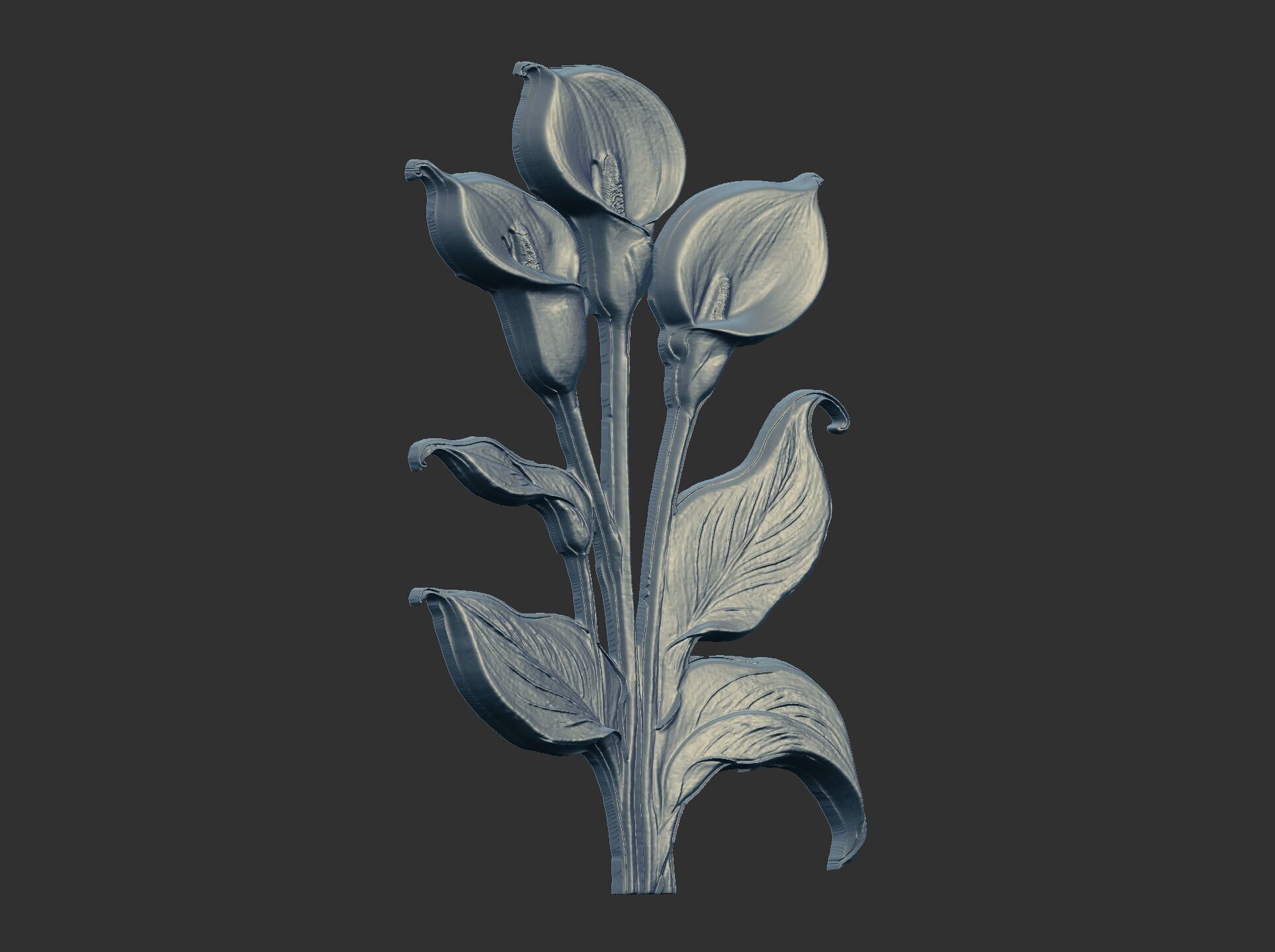 white calla lily with green leaves cnc  3D print model_15