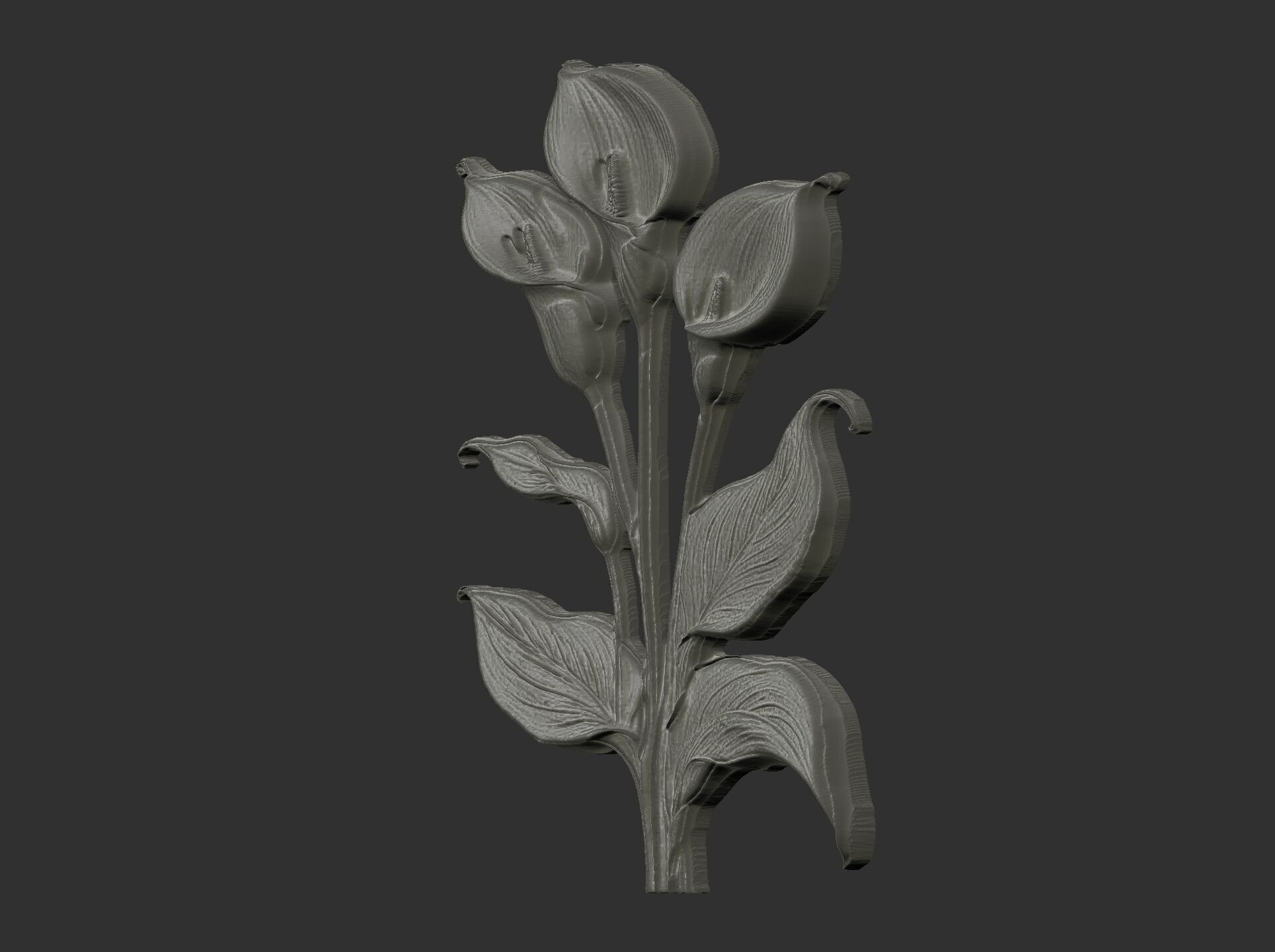 white calla lily with green leaves cnc  3D print model_8