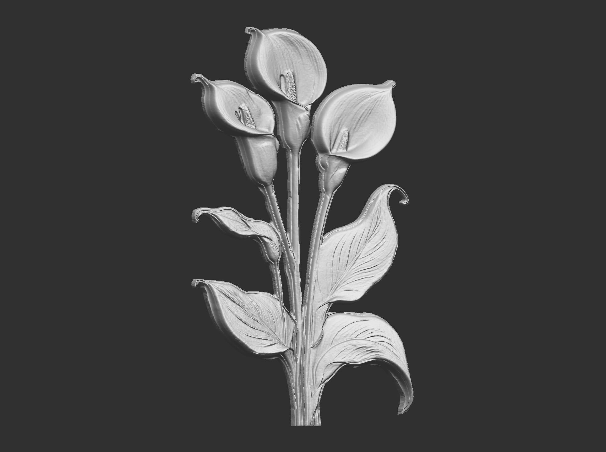 white calla lily with green leaves cnc  3D print model_22
