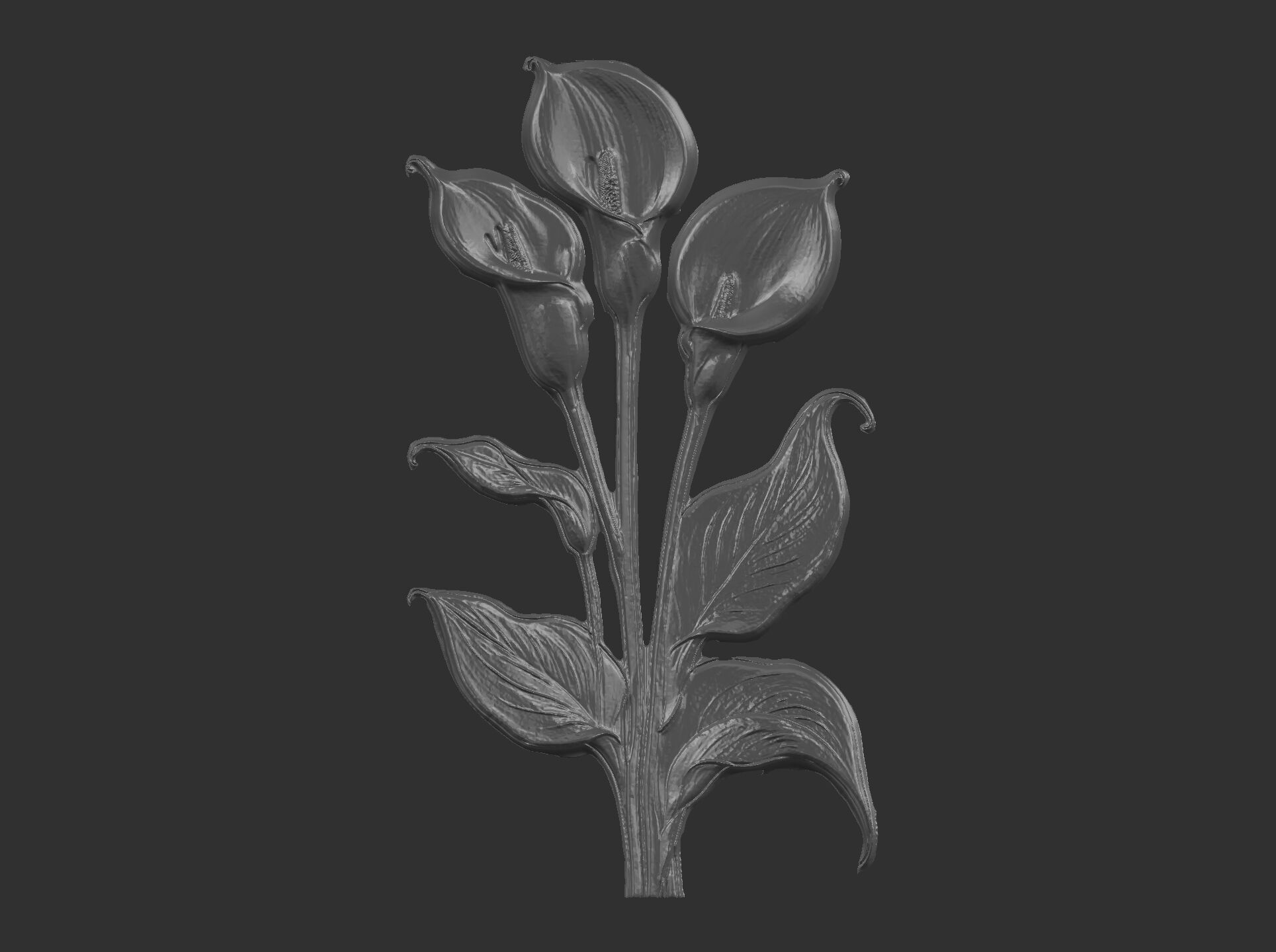 white calla lily with green leaves cnc  3D print model_5