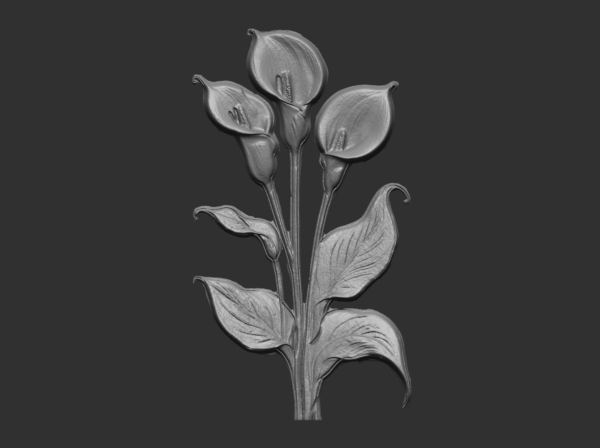 white calla lily with green leaves cnc  3D print model_3