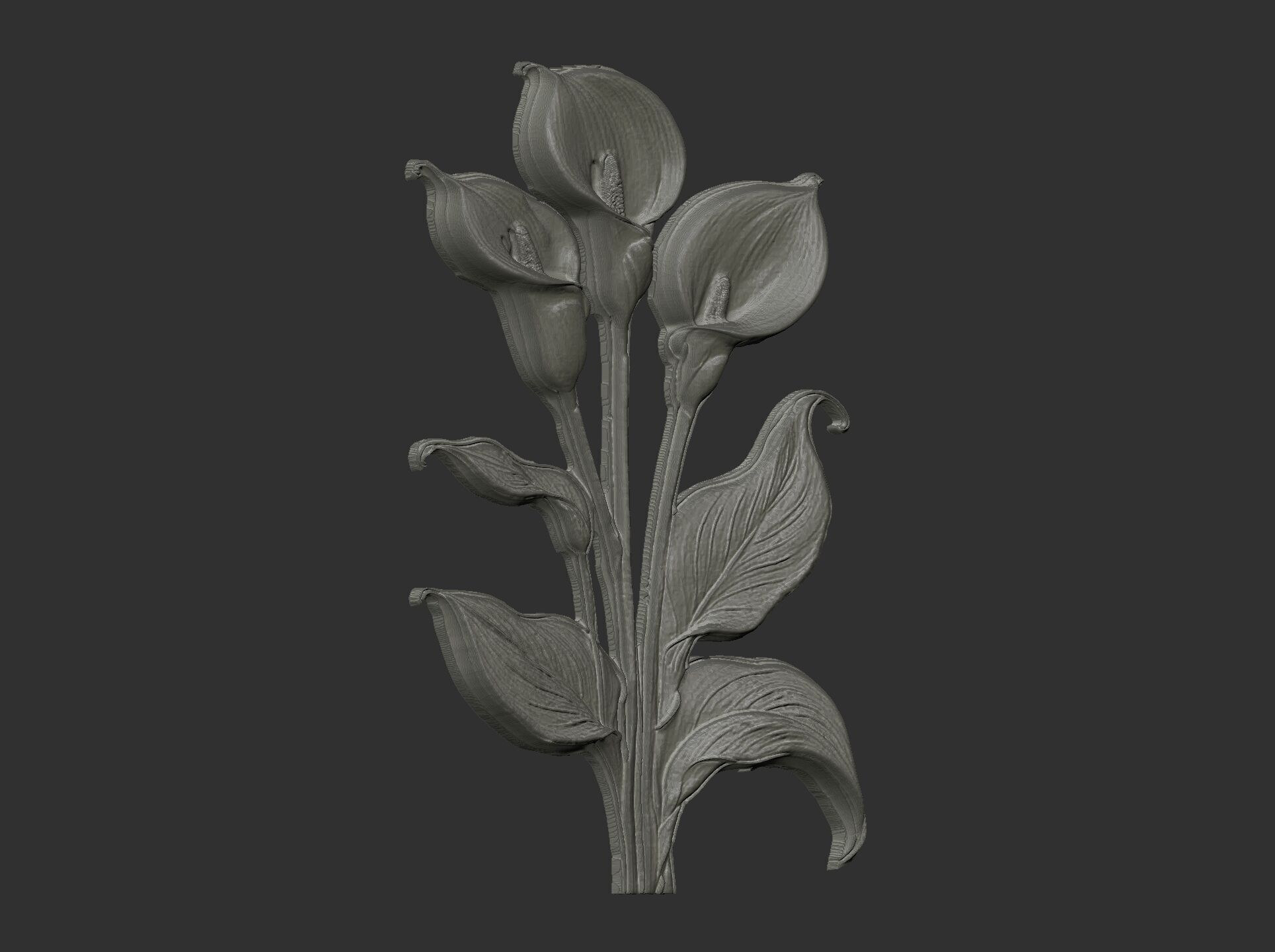 white calla lily with green leaves cnc  3D print model_16