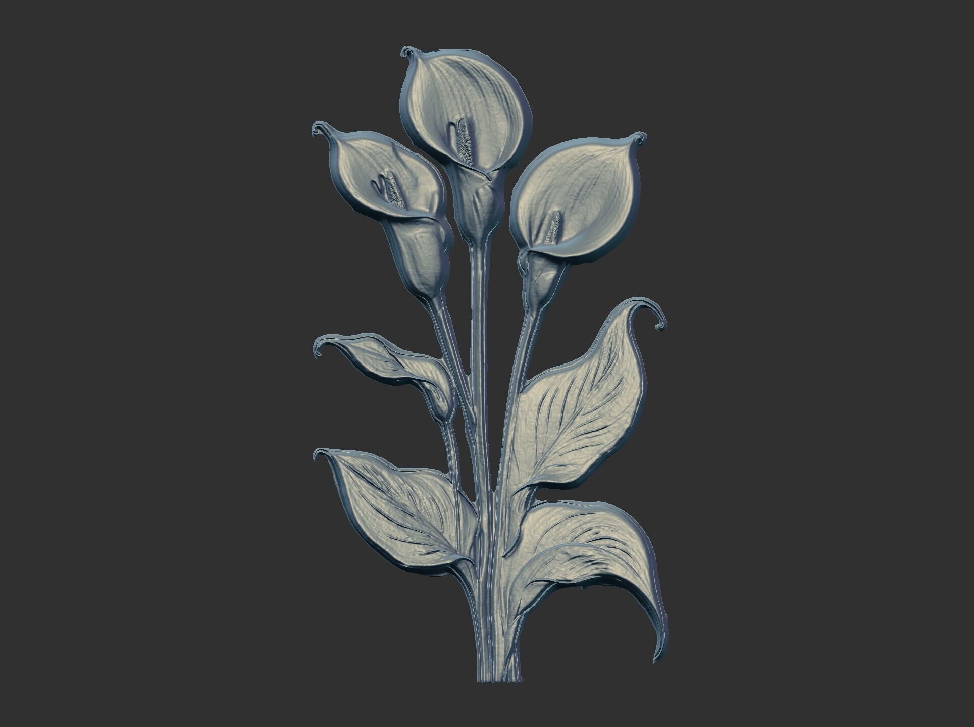 white calla lily with green leaves cnc  3D print model_20