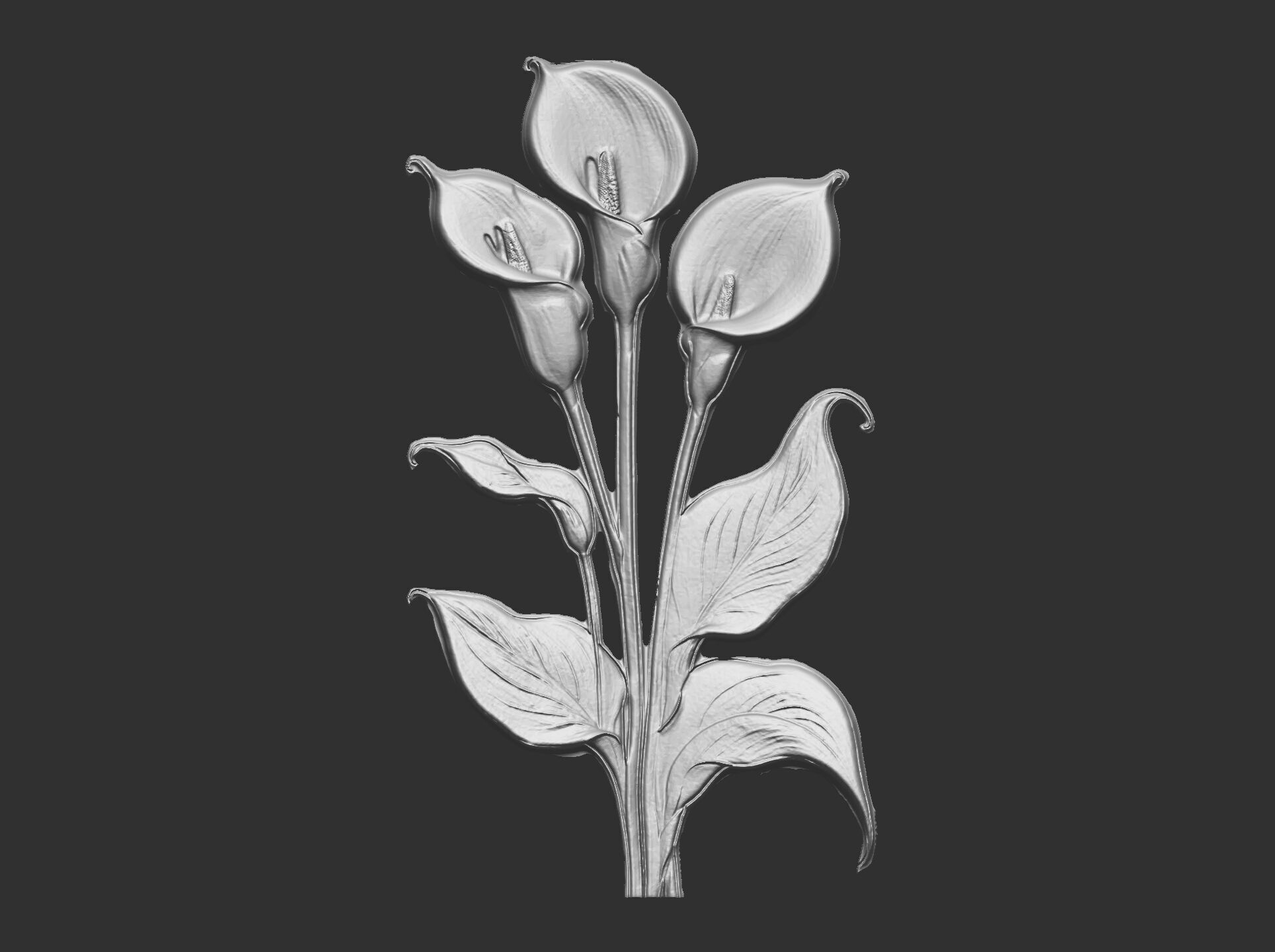 white calla lily with green leaves cnc  3D print model_24