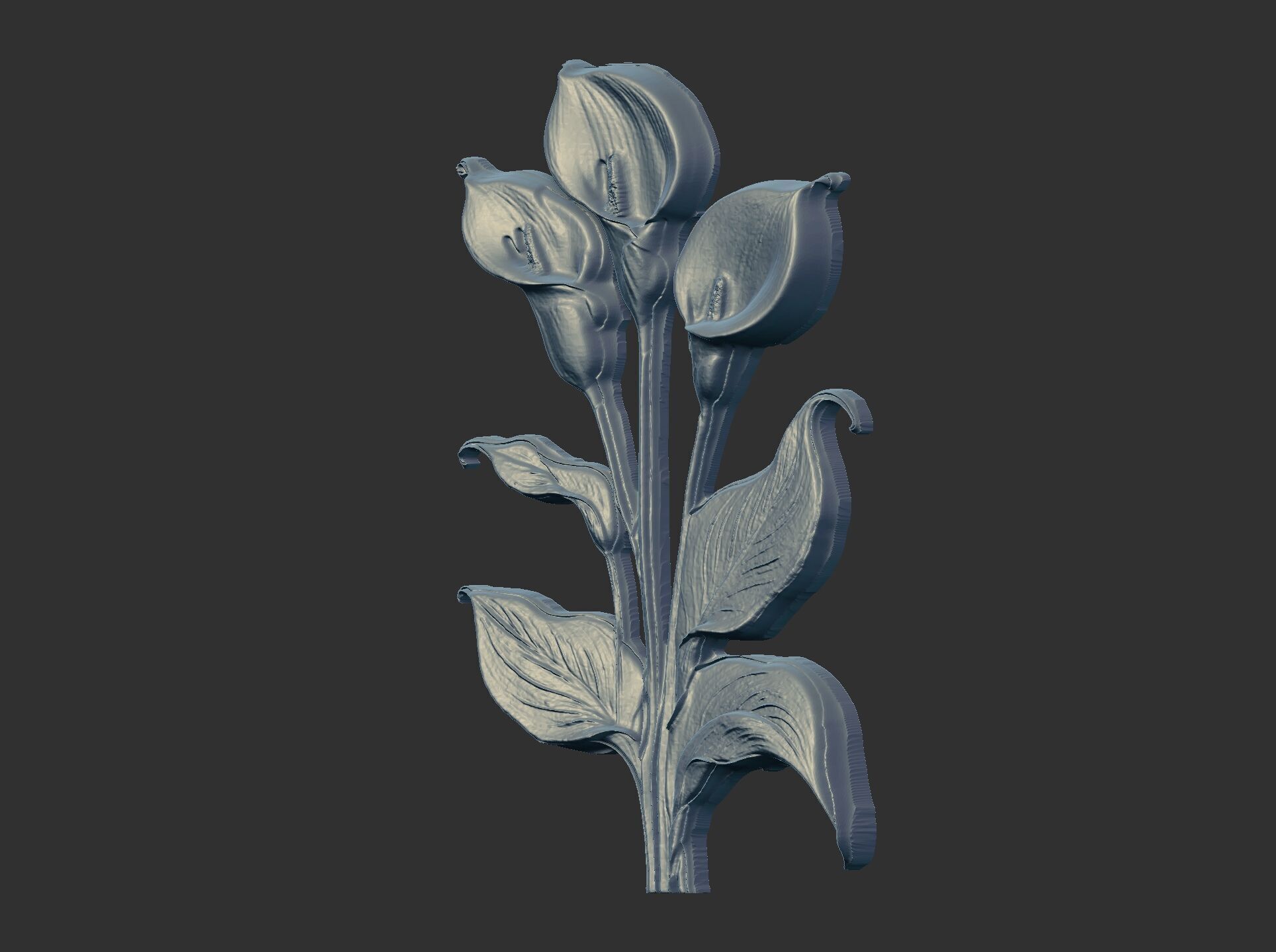 white calla lily with green leaves cnc  3D print model_9