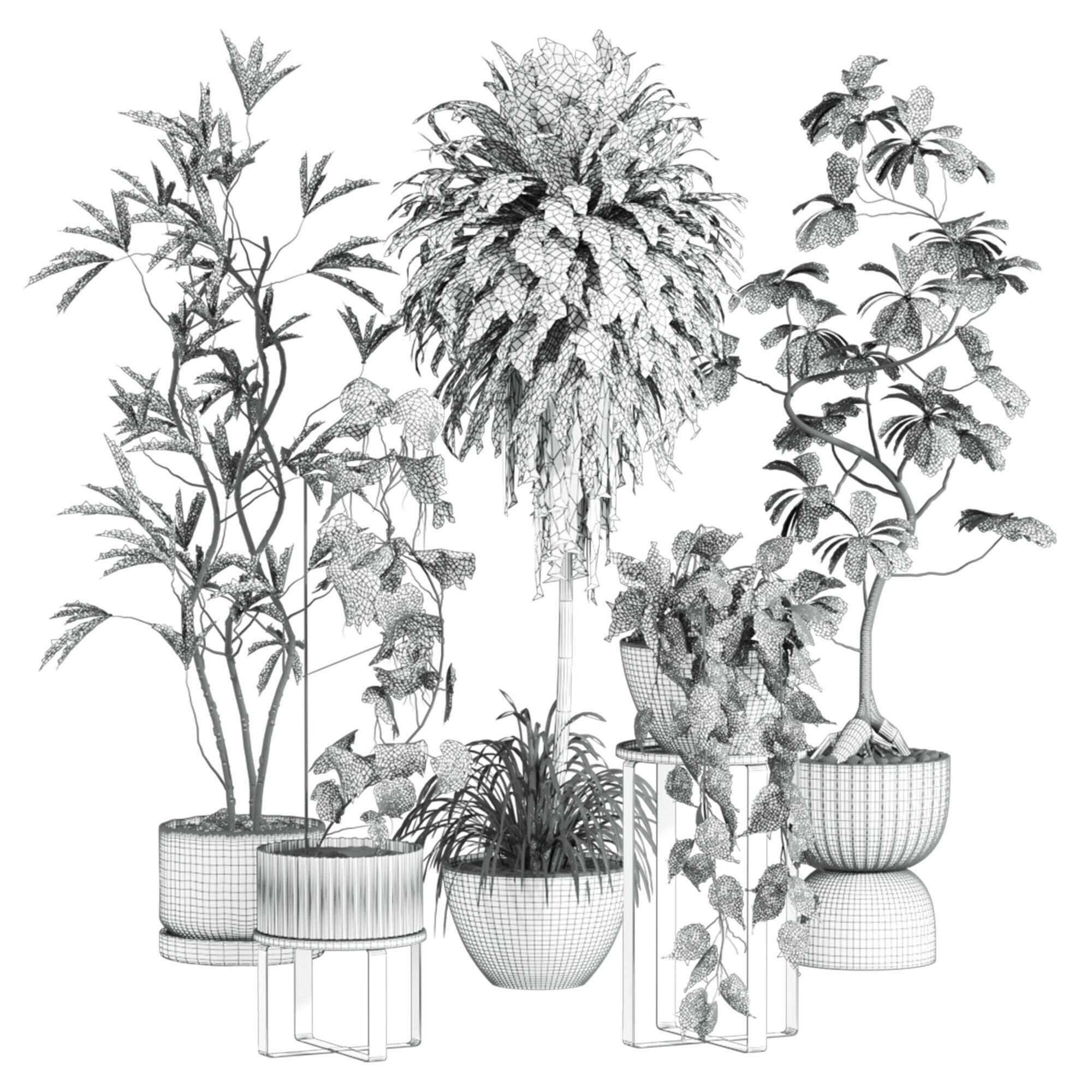 Plants Set 3D model_6
