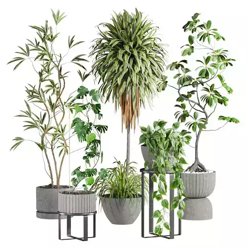 Plants Set 3D model